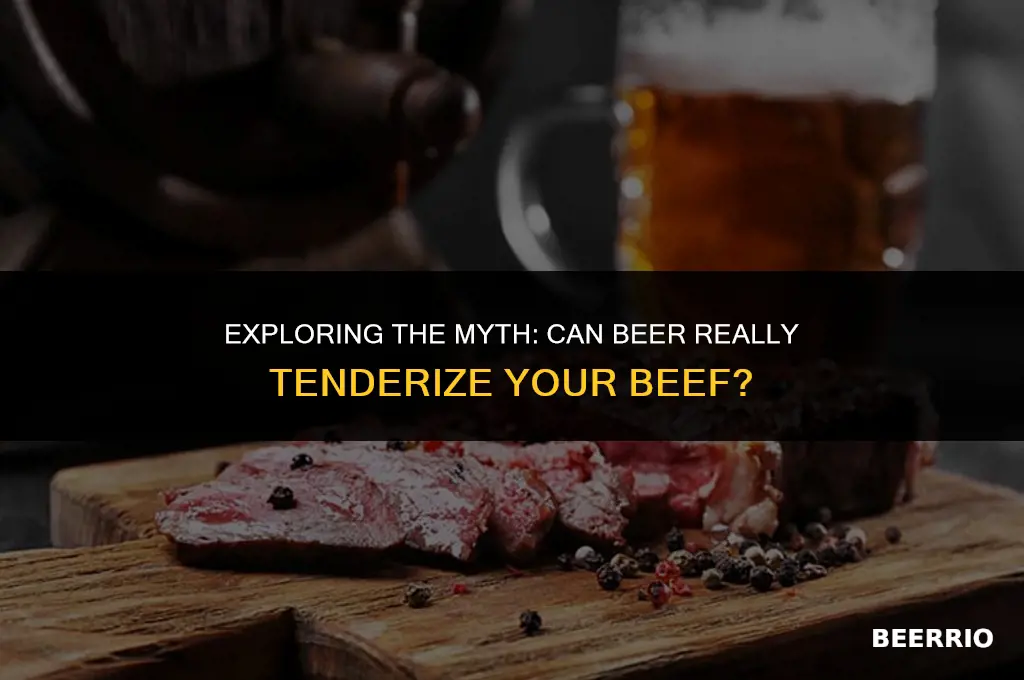 will beer tenderize beef