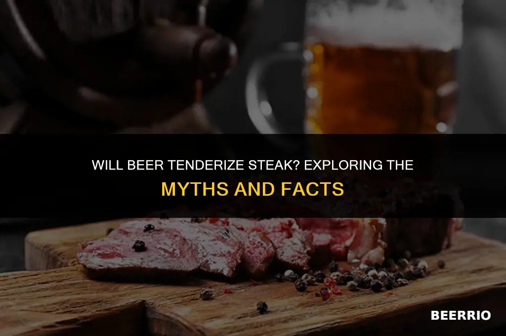 will beer tenderize steak