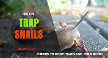 Snail Control: The Surprising Truth About Beer Traps