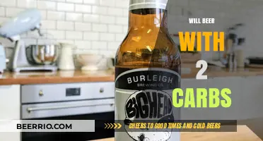 Sipping Smart: Exploring the World of Low-Carb Beers