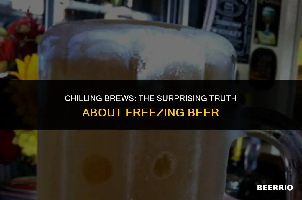 will beers freeze