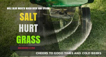 Exploring the Effects of Household Items on Lawn Health