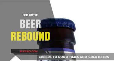 Will Boston Beer Rebound: Analyzing the Company's Future Prospects