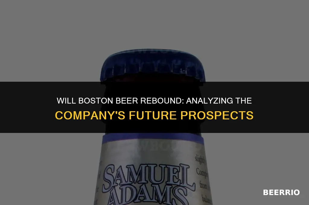 will boston beer rebound