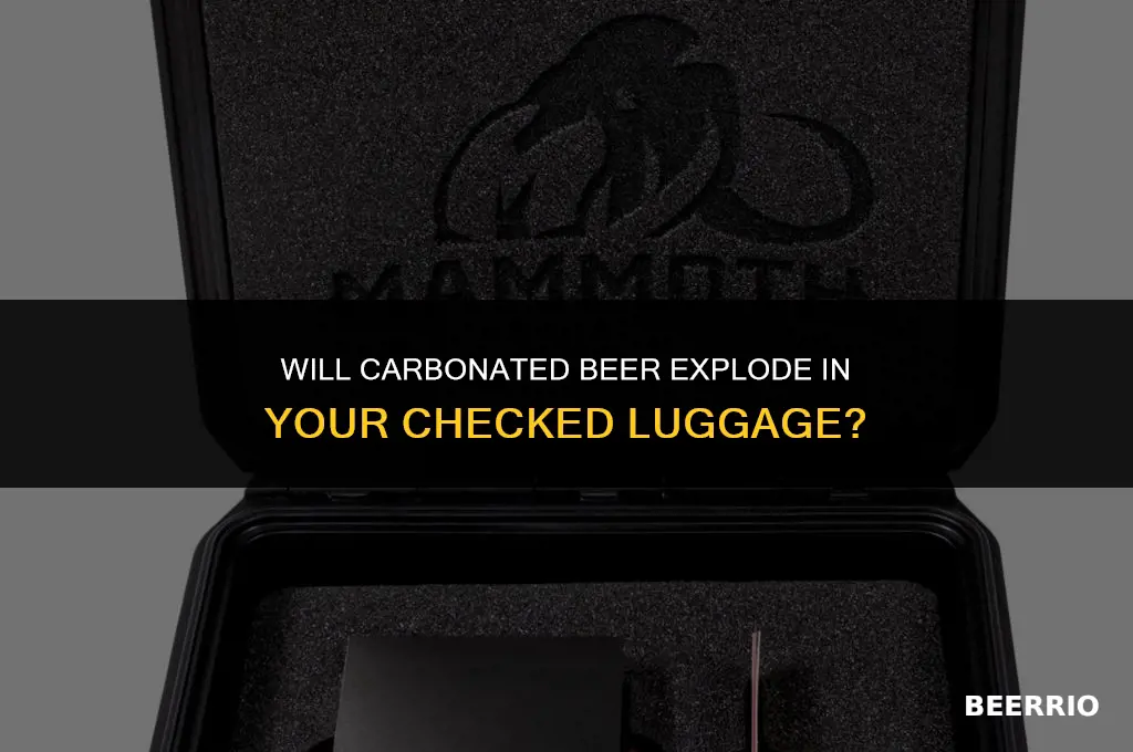 will carbonated beer break in a checked bag