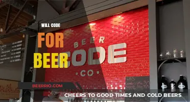 Crafting Code and Brews: A Developer's Guide to Beer-Fueled Productivity