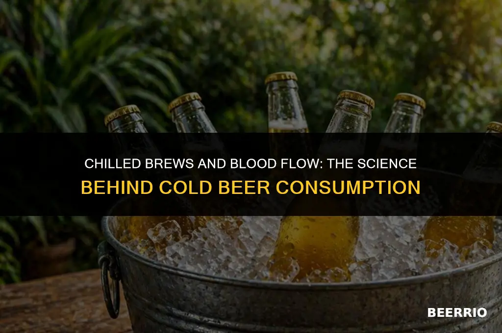 will cold beer enter the blood stream faster