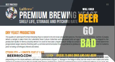 Chill or Risk: The Shelf Life of Cold Beer Explained